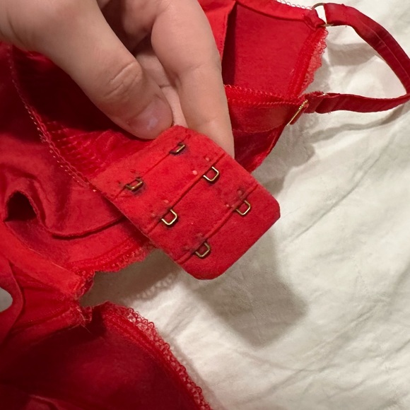 Agent Provocateur Set Silk Red Felinda Bra and Suspender (36E, AP size 3/medium) - Picture 6 of 9